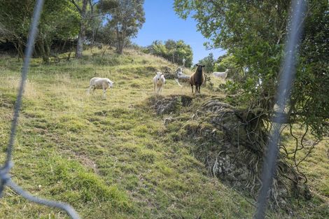 Photo of property in 340 South Makara Road, Makara, Wellington, 6972