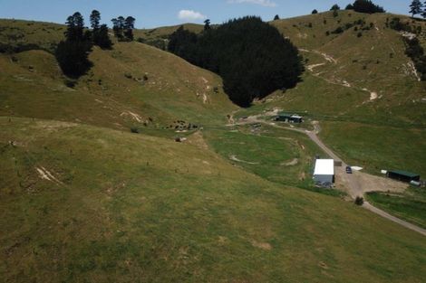 Photo of property in 8268 Paeroa Kopu Road, Hikutaia, Paeroa, 3674