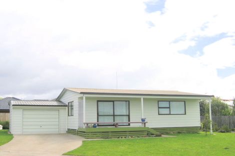 Photo of property in 10 Carrick Robertson Place, Waihi, 3610