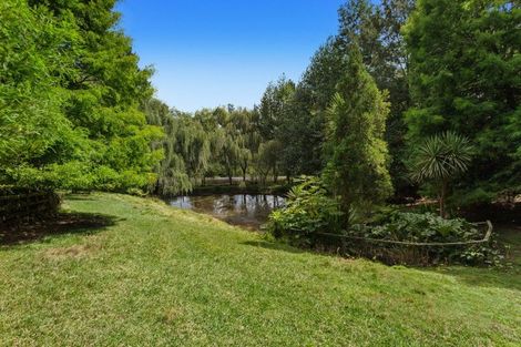 Photo of property in 763b White Pine Bush Road, White Pine Bush, Whakatane, 3191