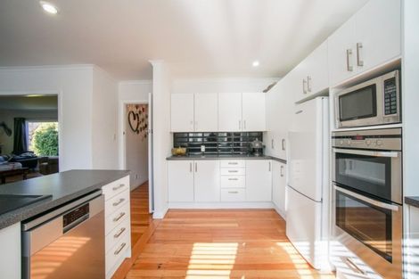 Photo of property in 86 Fitzroy Street, Terrace End, Palmerston North, 4410