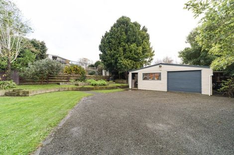 Photo of property in 6 Patea Place, Terrace End, Palmerston North, 4410