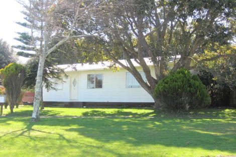 Photo of property in 19 Morgan Crescent, Levin, 5510