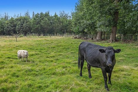 Photo of property in 2354 State Highway 30, Otakiri, Whakatane, 3192