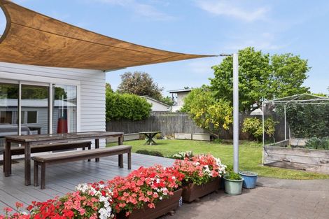 Photo of property in 708 Duke Street, Mahora, Hastings, 4120