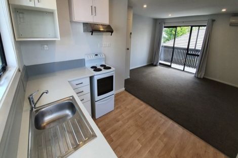 Photo of property in 5/11 Winchester Street, Merivale, Christchurch, 8014