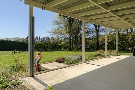 Photo of property in 9d Mcquade Road, Whakamarama, Tauranga, 3179