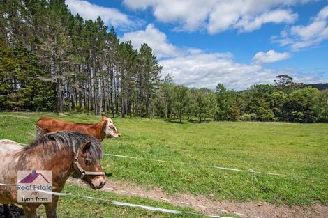 Photo of property in 93 Mclennan Road, Whakapara, Hikurangi, 0182