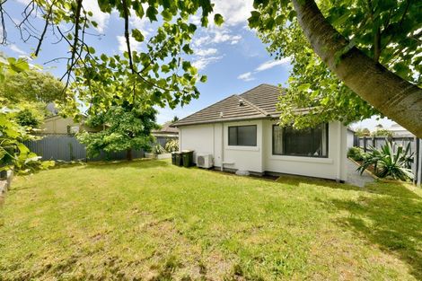 Photo of property in 273a Cranford Street, St Albans, Christchurch, 8052
