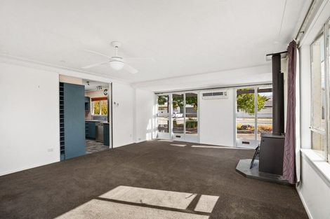 Photo of property in 29 Marslin Street, Alexandra, 9320