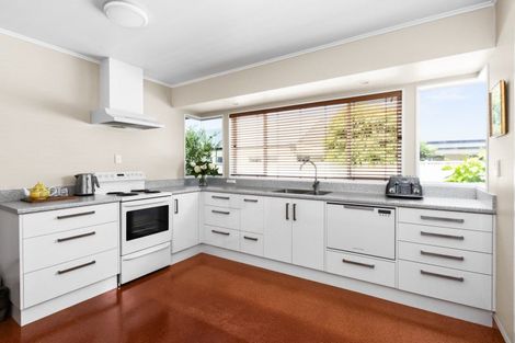 Photo of property in 48 Auckland Road, Greenmeadows, Napier, 4112