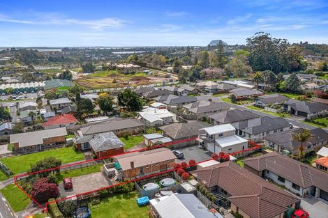 Photo of property in 196 Moffat Road, Bethlehem, Tauranga, 3110