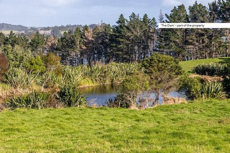 Photo of property in 176 Shegadeen Road, Wharehine, Wellsford, 0973