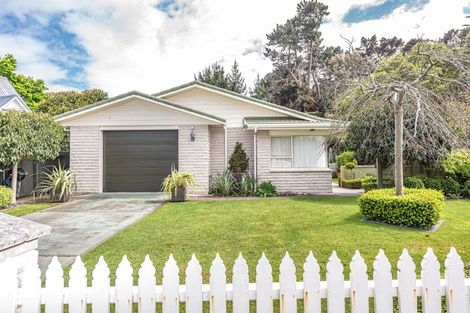 Photo of property in 41 Downes Avenue, Springvale, Whanganui, 4501
