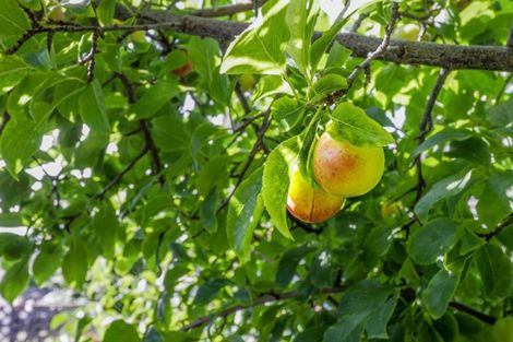 Photo of property in 39 Gray Avenue, Paraparaumu Beach, Paraparaumu, 5032