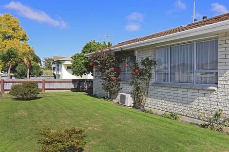 Photo of property in 1010 Konini Street, Mahora, Hastings, 4120