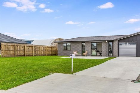 Photo of property in 109 Hinemoa Street, Levin, 5510