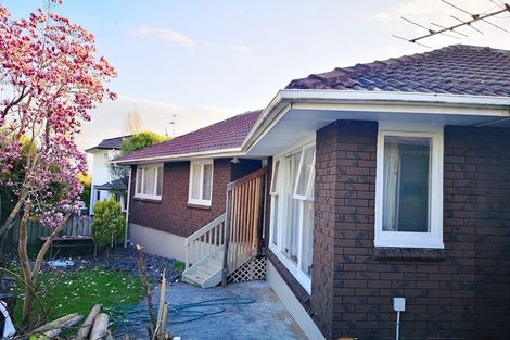 Photo of property in 33 Arrow Road, Forrest Hill, Auckland, 0620
