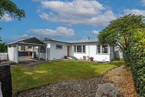 Photo of property in 390 Ruahine Street, Terrace End, Palmerston North, 4410