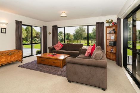Photo of property in 13 Pukematawai Lane, Levin, 5571