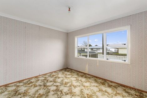 Photo of property in 14 Ferguson Street, Levin, 5510