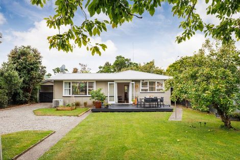 Photo of property in 382 Ruahine Street, Terrace End, Palmerston North, 4410