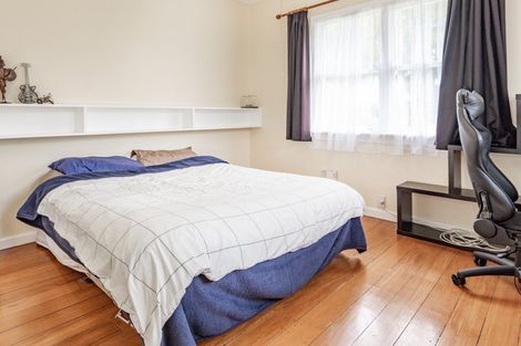 Photo of property in 102 Charlotte Crescent, Mayfair, Hastings, 4122