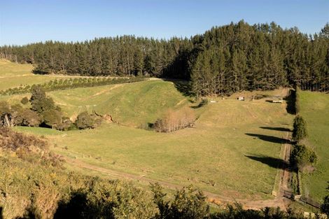 Photo of property in 795 Maungarangi Road, Paengaroa, 3189