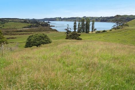 Photo of property in 135 Phillips Road, Kaiwaka, 0573