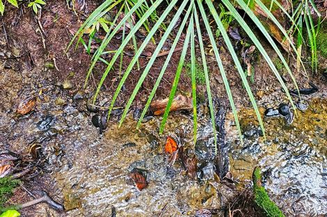 Photo of property in 243 Creamery Road, Kohukohu, 0491