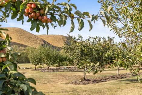 Photo of property in 333 Ardgour Road, Tarras, Cromwell, 9383