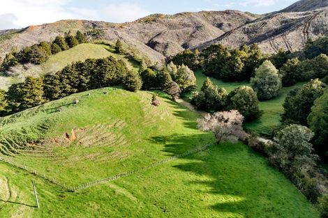 Photo of property in 2102 Waingaro Road, Waingaro, Ngaruawahia, 3793