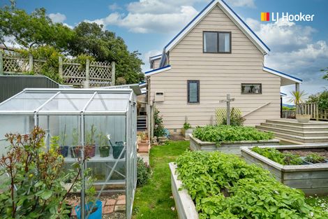 Photo of property in 11 Brugh Place, Waverley, Dunedin, 9013