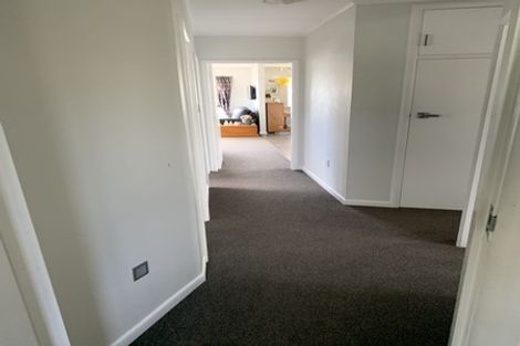 Photo of property in 18 Churchill Avenue, Richmond, 7020