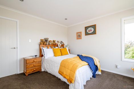 Photo of property in 21 Hewlings Street, Geraldine, 7930