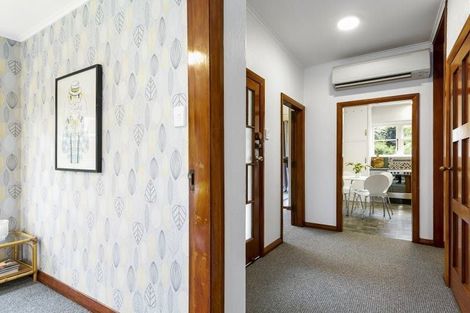 Photo of property in 51 Craighall Crescent, Wakari, Dunedin, 9010