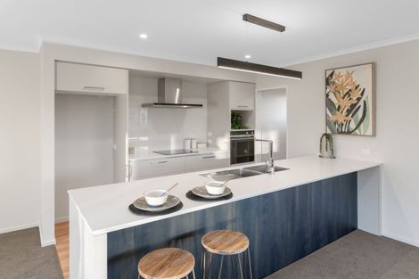 Photo of property in 13 Hanworth Road, Appleby, Richmond, 7020