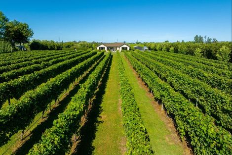 Photo of property in 58 Blicks Lane, Springlands, Blenheim, 7272