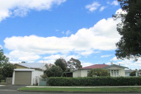 Photo of property in 38 Elizabeth Street, Matamata, 3400