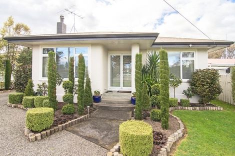Photo of property in 68 Raglan Street, Lansdowne, Masterton, 5810