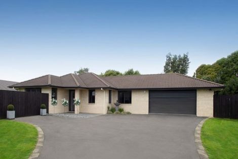 Photo of property in 50 Matipo Street, Matamata, 3400