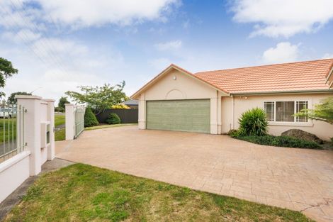 Photo of property in 38 East Street, Feilding, 4702