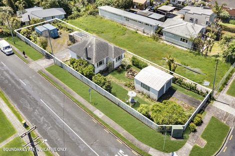 Photo of property in 131 Seabrook Avenue, New Lynn, Auckland, 0600