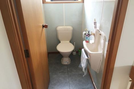 Photo of property in 18 Pine Avenue, Henderson, Auckland, 0612