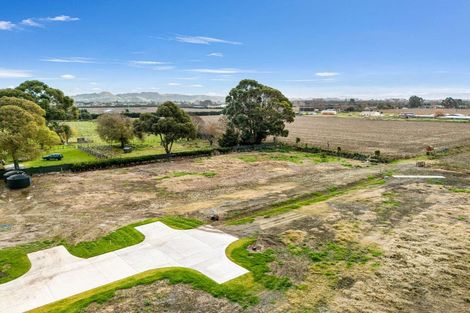 Photo of property in 234 Meeanee Road, Meeanee, Napier, 4112