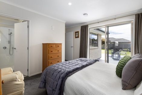 Photo of property in 223 Taylor Pass Road, Witherlea, Blenheim, 7201