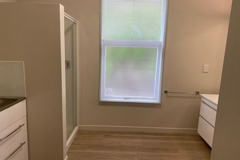 Photo of property in 4 Airedale Street, Dunedin Central, Dunedin, 9016