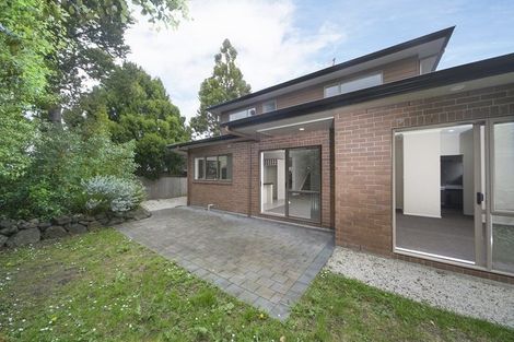 Photo of property in 16d Lincoln Road, Henderson, Auckland, 0610