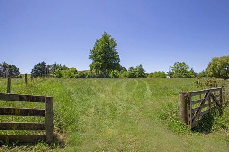 Photo of property in 1006 Tirau Road, Karapiro, Cambridge, 3494