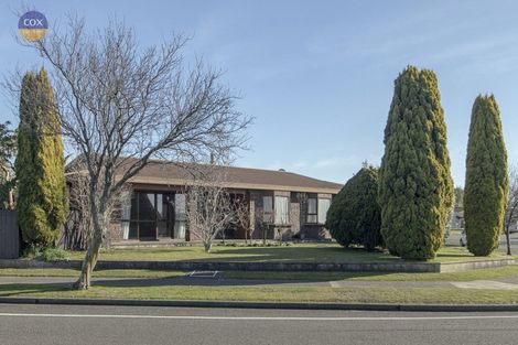 Photo of property in 14 Lamason Street, Greenmeadows, Napier, 4112